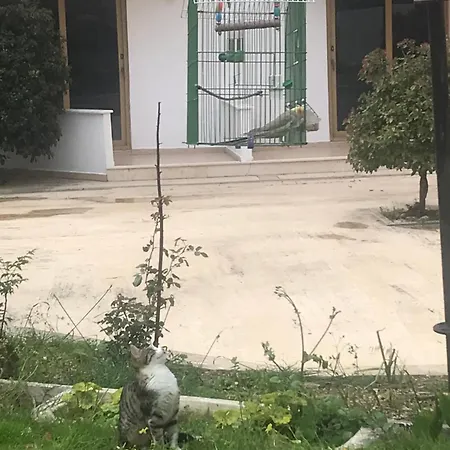 Kahraman Hotel Side