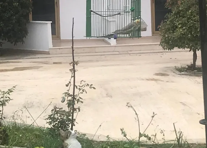 Kahraman Отель Сиде